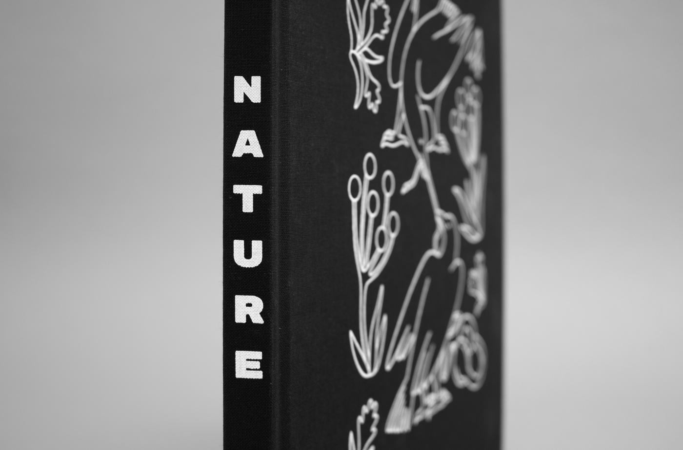 Nature 